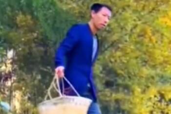 帅农鸟哥是什么梗