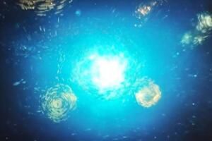 网络用语带你去看海底星空是什么梗