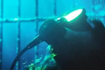 网络用语带你去看海底星空是什么意思