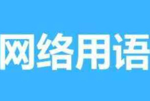 208是什么意思网络用语