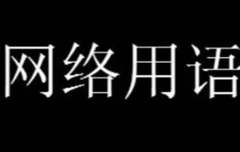 大暑小暑有米也懒煮什么梗