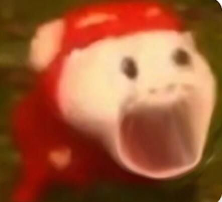 死猪表情包大全