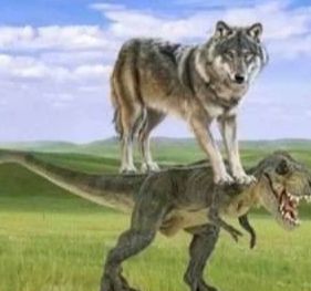 恐龙扛狼扛狼扛表情包图片大全