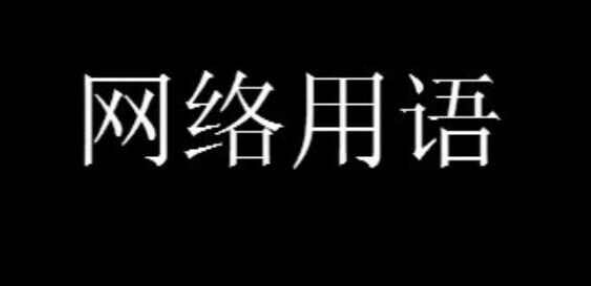 张敏便利店是什么意思