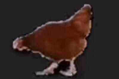 文老爷子是什么梗