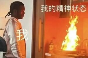 电子呕吐物是什么意思