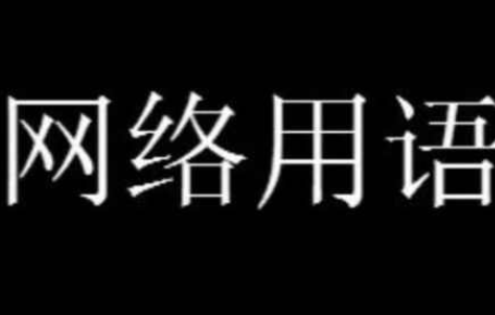 为什么你可以发语音什么梗