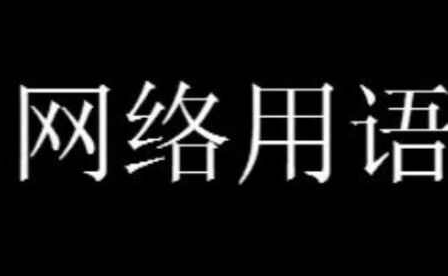 胡萝卜人才是什么梗