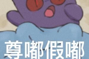 别人说尊嘟假嘟怎么回