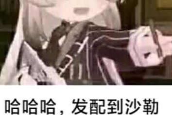 沙勒知名教师是什么梗