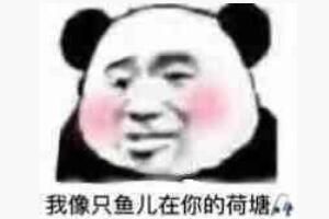 我像只鱼儿在你的鱼塘是什么梗