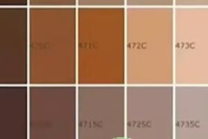 夏天多巴胺秋天美拉德是什么梗