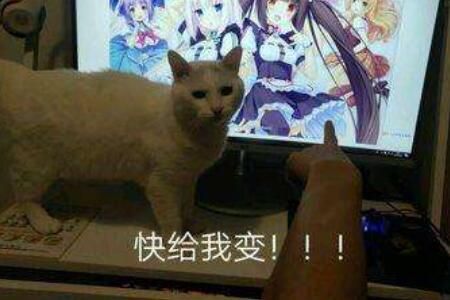 快给我变是什么意思