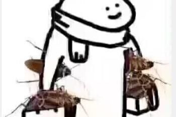 拿着拿着广东蟑螂是什么梗