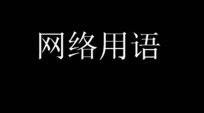 网络用语中的p到底指的是什么
