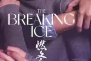 燃冬票房就像豆汁儿是什么梗