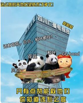 解救ggbond表情包图片有哪些