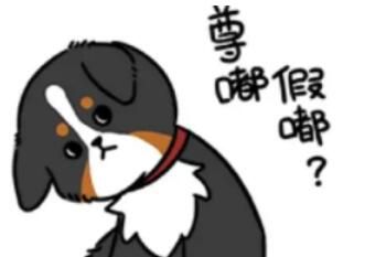 你说爱我尊嘟假嘟怎么回答