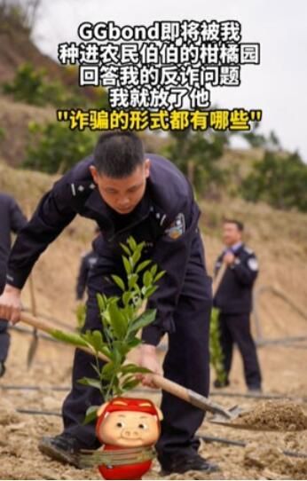 死猪表情包是什么 解救ggbond表情包大全