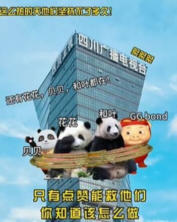 死猪表情包是什么 解救ggbond表情包大全