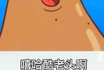 嘻哈酷老头是什么梗