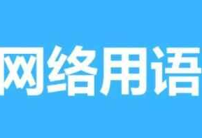 别管我叮是什么梗