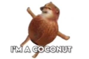 我是一个椰子是什么梗