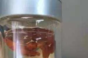 对冲型养生是什么梗