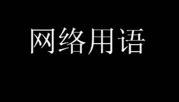 8000万项目是什么意思梗