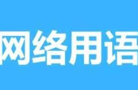 网络用语向日葵型备胎是什么意思