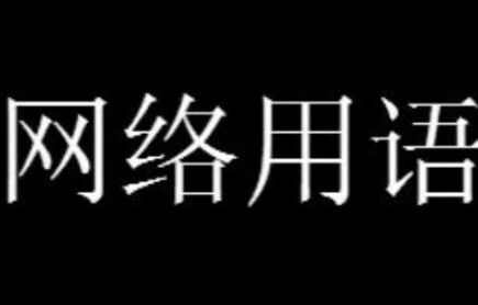 贺强钓鱼是什么梗