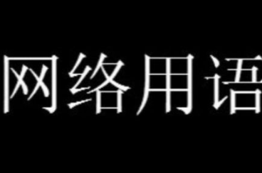 我是徐俊大是什么梗