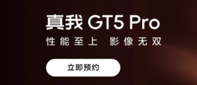 真我GT5Pro支持ip68防水吗