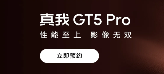 真我GT5Pro可以支持ip68防水吗