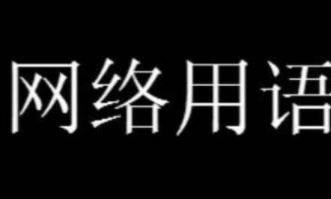 刘德华解冻是什么梗