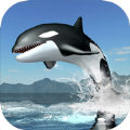 虎鲸生存模拟器app