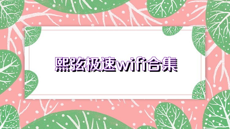 熙弦极速wifi合集