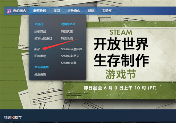 steam新品在哪看