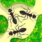 蚁群模拟器app