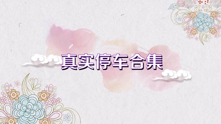 真实停车合集