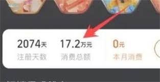 查询淘宝总消费金额的方法