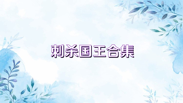 刺杀国王合集