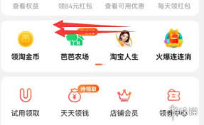 如何在手机淘宝查看已支付的订单总额？