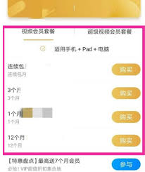 如何开通PP视频会员？