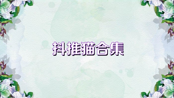 抖推猫合集