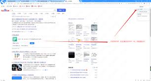 搜狗浏览器自动停用扩展插件的解决步骤与教程指南