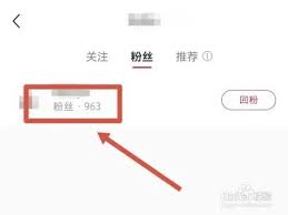 巧妙操作：如何安全有效地移除小红书上的粉丝