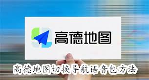 如何在高德地图导航APP中设置个性化语音提示