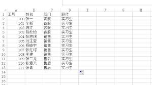 Word高效技巧：快速批量生成工作牌方法