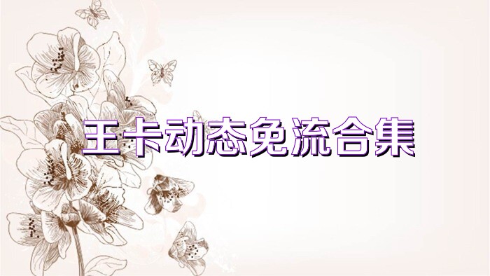 王卡动态免流合集